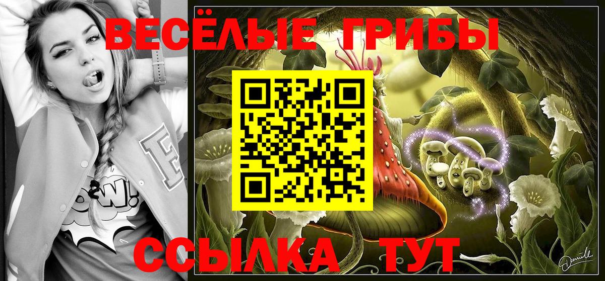 Галлюциногенные грибы Cubensis Качканар