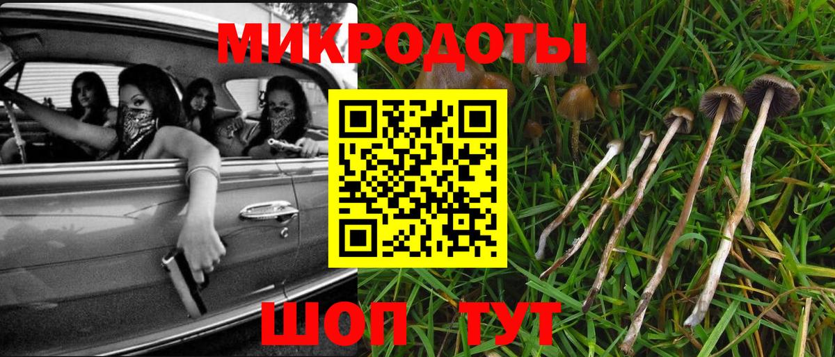 Галлюциногенные грибы Psilocybe  как найти закладки  Качканар  Вход с VPN  Галлюциногенные грибы Cubensis 